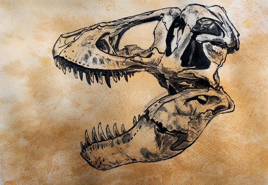 Dinosaur Painting - Tyrannosaurus skull by Harm  Plat