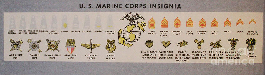 U S Marine Insignias Photograph by Steven Parker