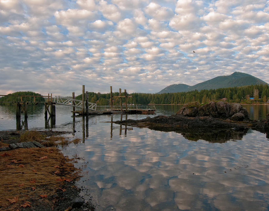 Ucluelet Harbor Reflections Photograph by Allan Van Gasbeck
