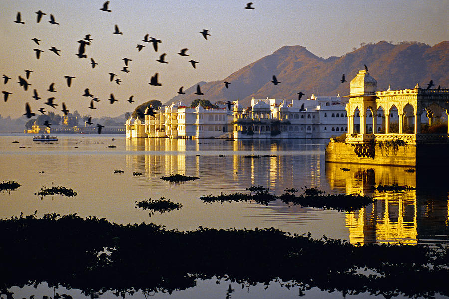 City Photograph - Udaipur Lake Palace by Dennis Cox
