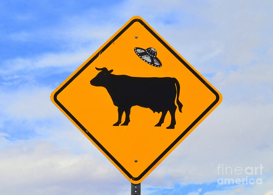 UFO Cattle Crossing Sign in New Mexico Photograph by Catherine Sherman