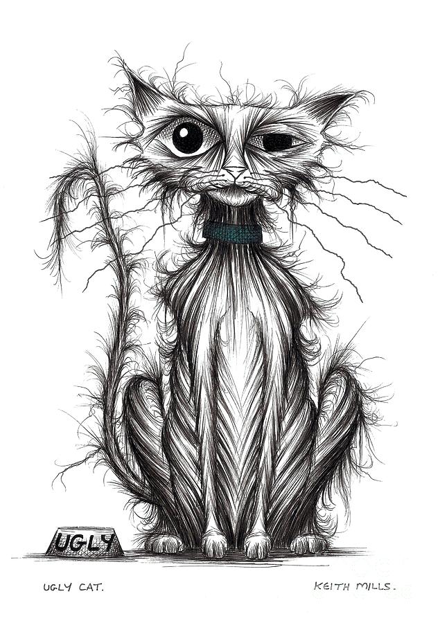 Ugly cat Drawing by Keith Mills Pixels