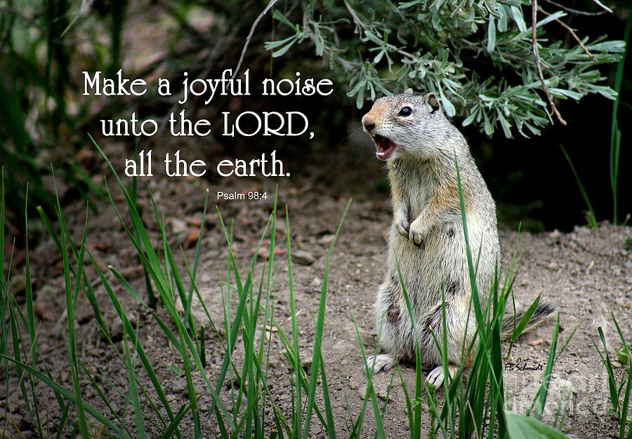 Uinta Ground Squirrel - Psalm 98 Photograph by E B Schmidt