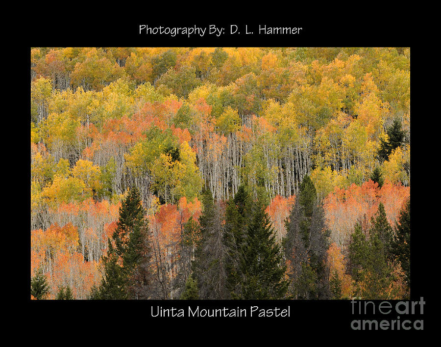 Uinta Mountain Pastel Photograph by Dennis Hammer