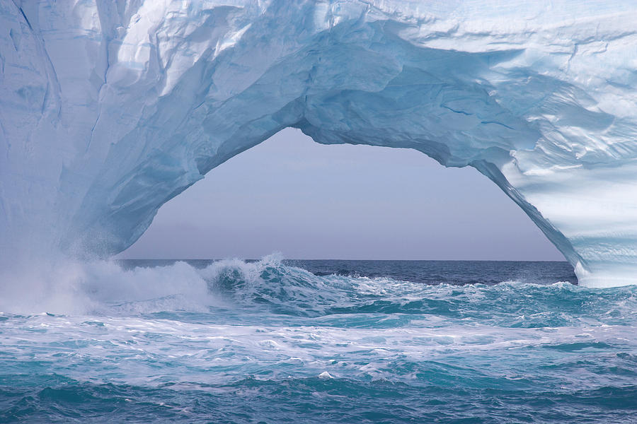 Uk Territory, South Georgia Island Photograph by Jaynes Gallery - Fine ...