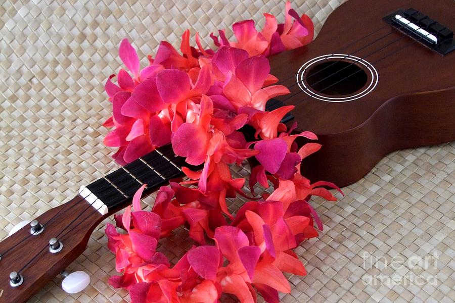 Ukulele and Red Lei Photograph by Mary Deal