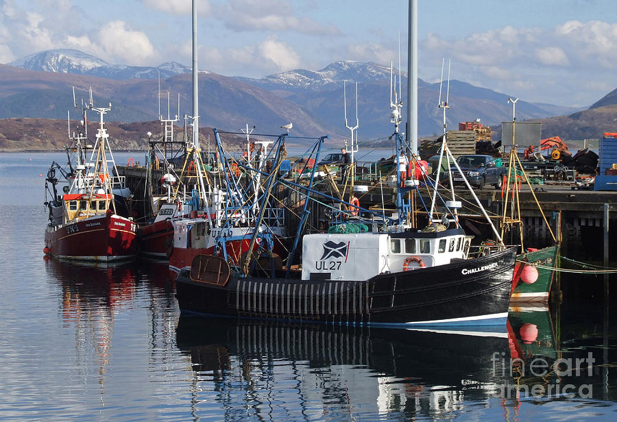 Ullapool Harbour - Fishing Boats Photograph by Phil Banks