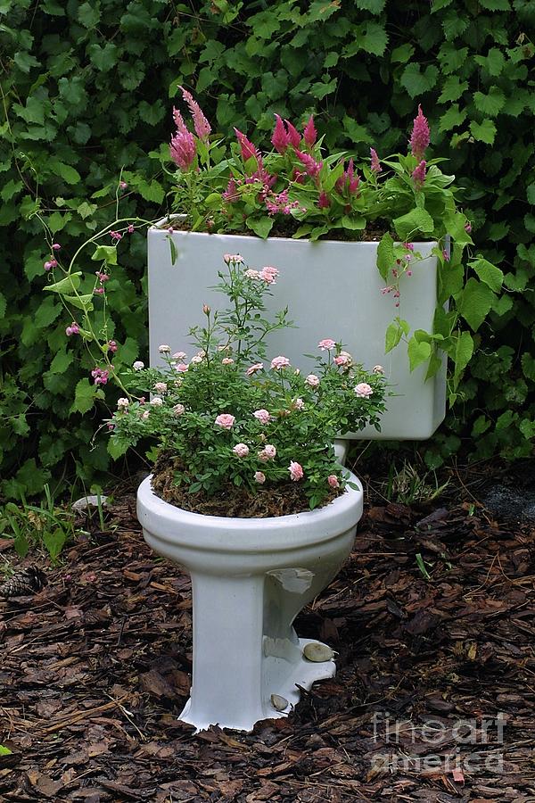 Ultimate Flower Loo Photograph by Dodie Ulery