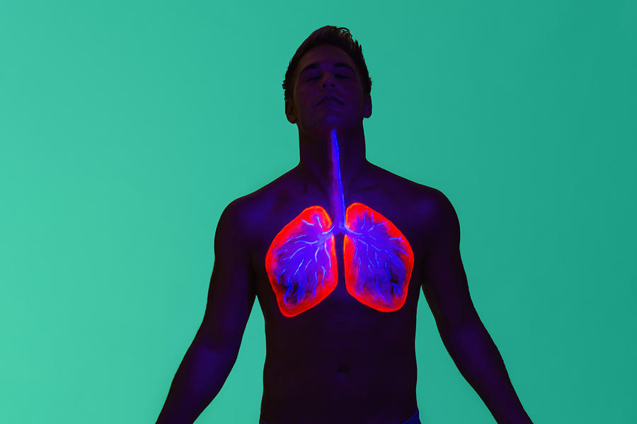 Ultraviolet diagram of lungs during inhalation Photograph by Matthias Tunger