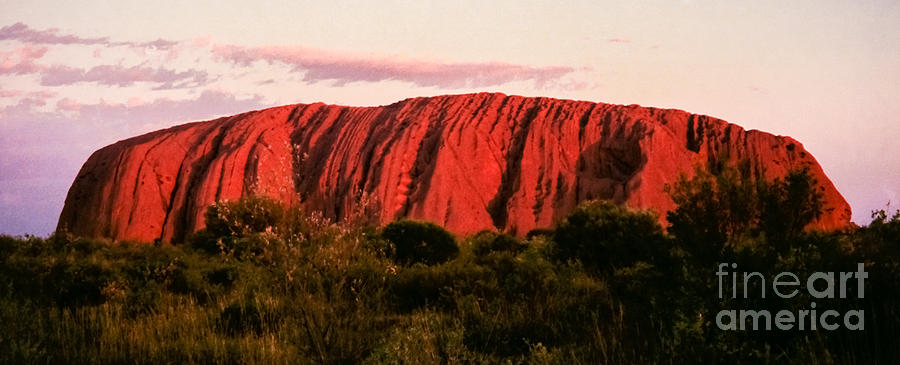 Uluru At Sunset Photograph by Suzanne Luft