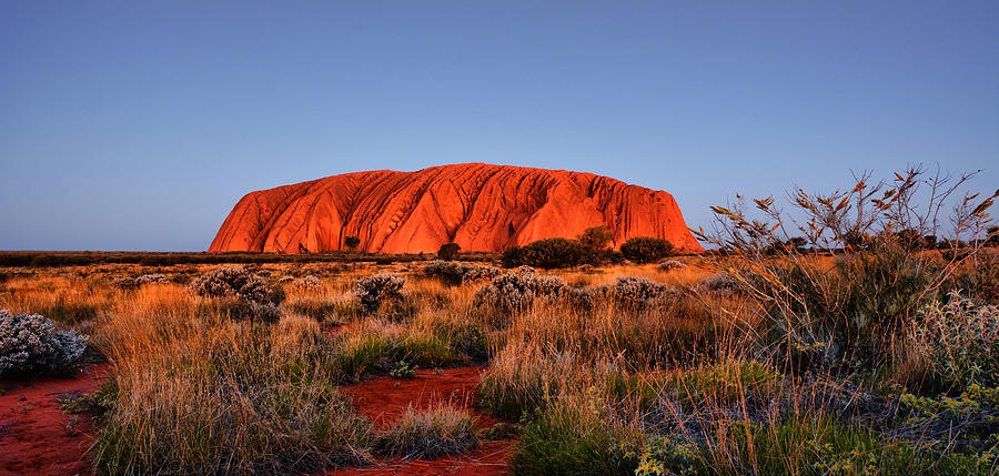 Uluru at twilight Photograph by Andrei SKY