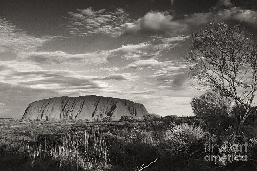 Uluru Australia Photograph by Rudi Prott