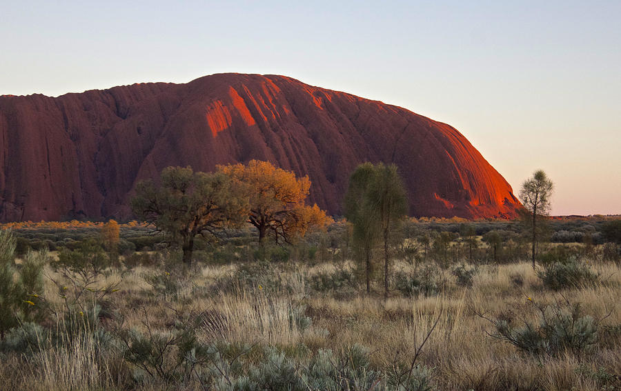 Uluru Ayers Rock at Sunset Photograph by Venetia Featherstone-Witty