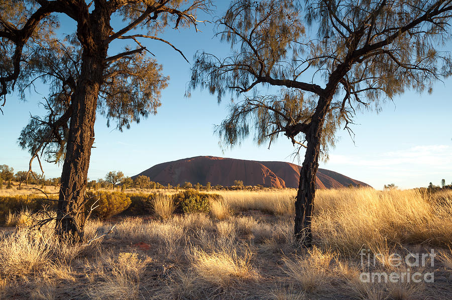 Uluru Photograph by Matteo Colombo