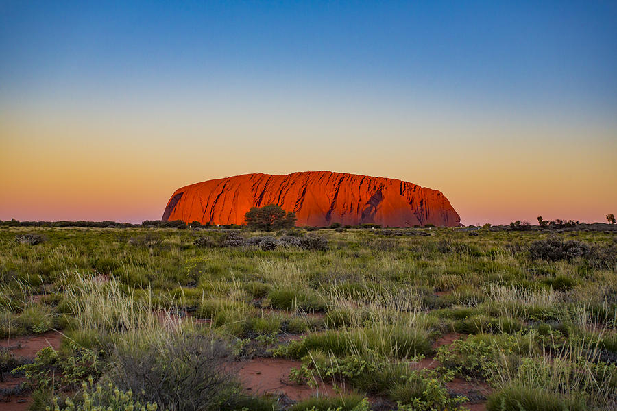 Uluru Sunrise Photograph by Davidf
