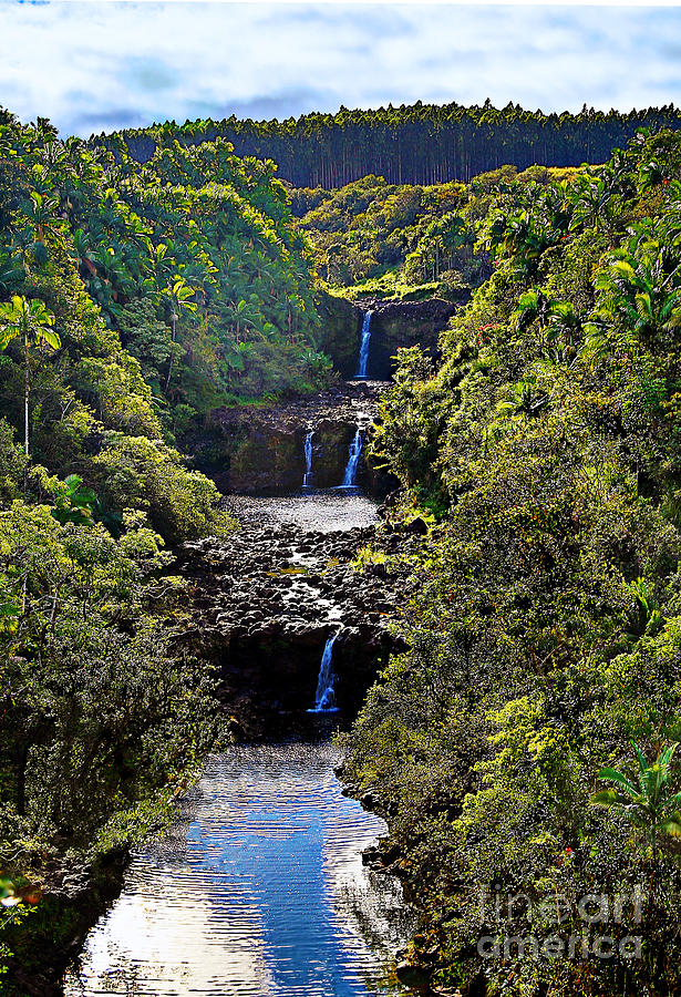 Waterfall Photograph - Umauma Falls II by Patricia Griffin Brett
