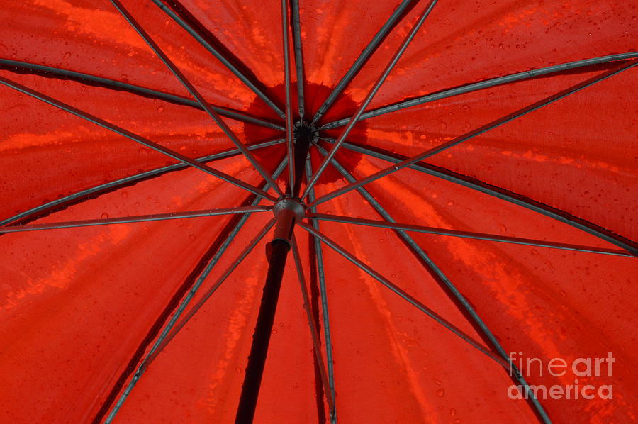 Umbrella Abstract Photograph by Beverly Shelby