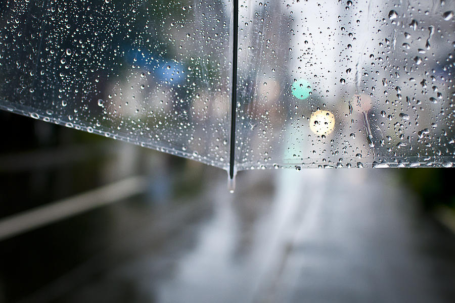 Umbrella on rainy day Photograph by Nicola Bernardi Photography