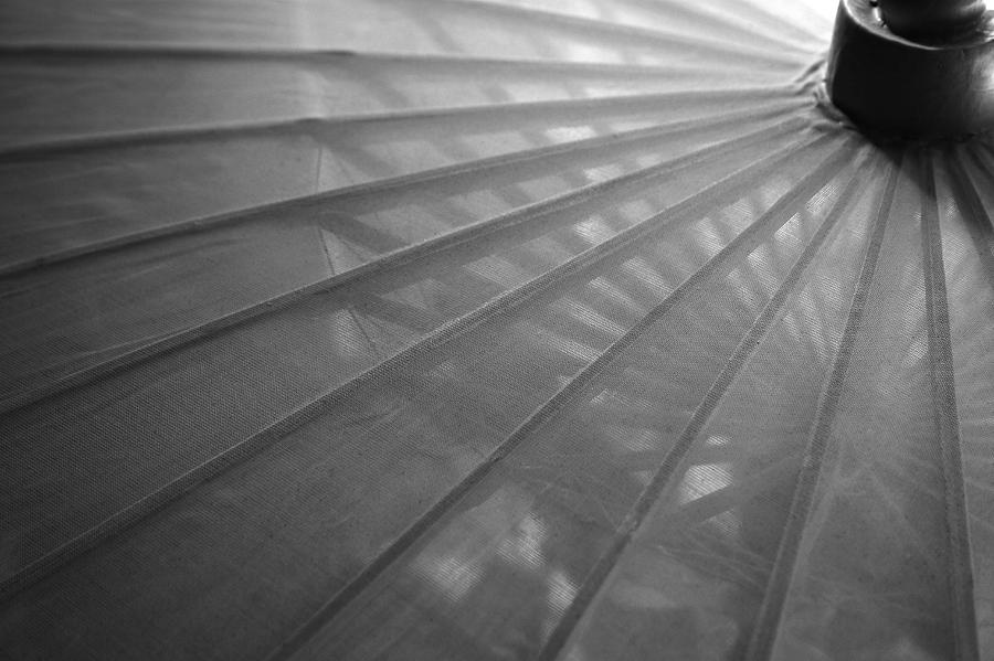 Umbrella Photograph by PIXELS  XPOSED Ralph A Ledergerber Photography
