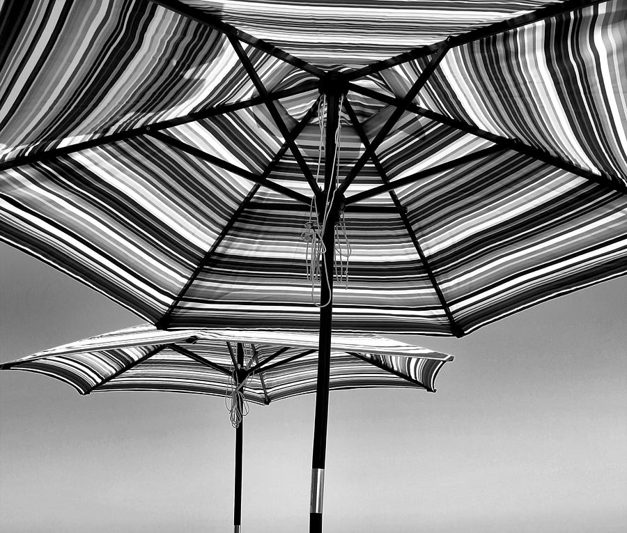 Umbrellas in the Sun Photograph by Michael Hope
