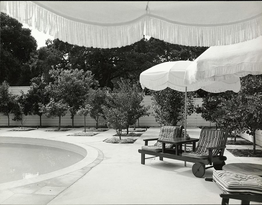 Umbrellas Poolside Photograph by Fred Lyon