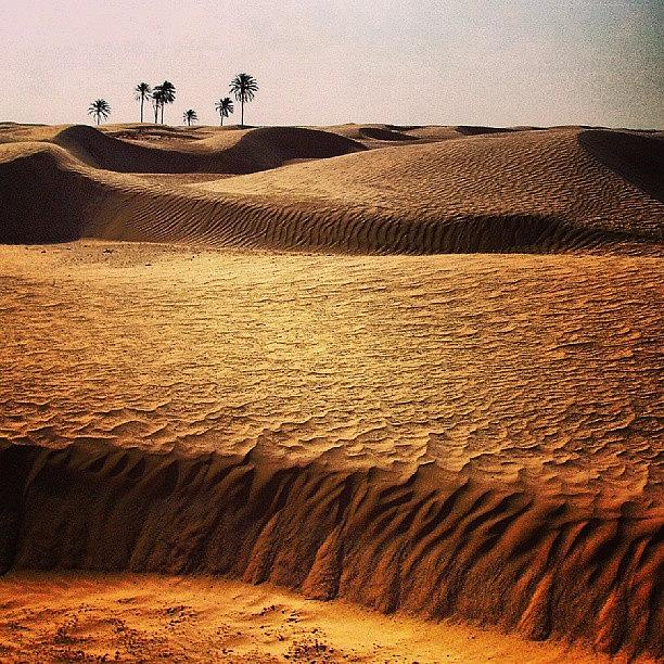 Desert Photograph - Un Peu De Chaleur En Ce Début by Bastien Crq