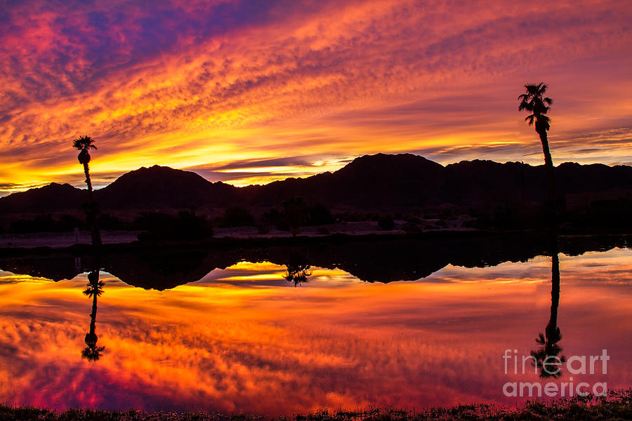 Unbelievable Sunrise Photograph by Robert Bales