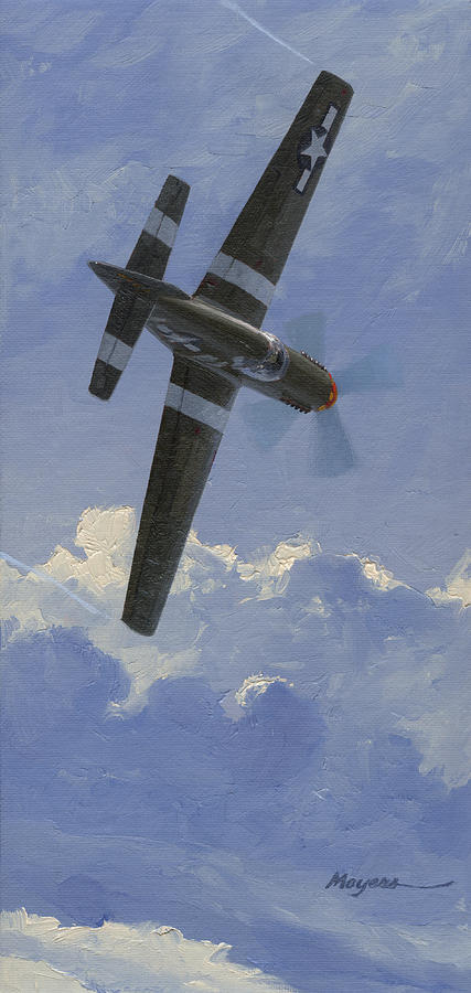 357th Fighter Group Painting - Unbridled Stallion by Wade Meyers