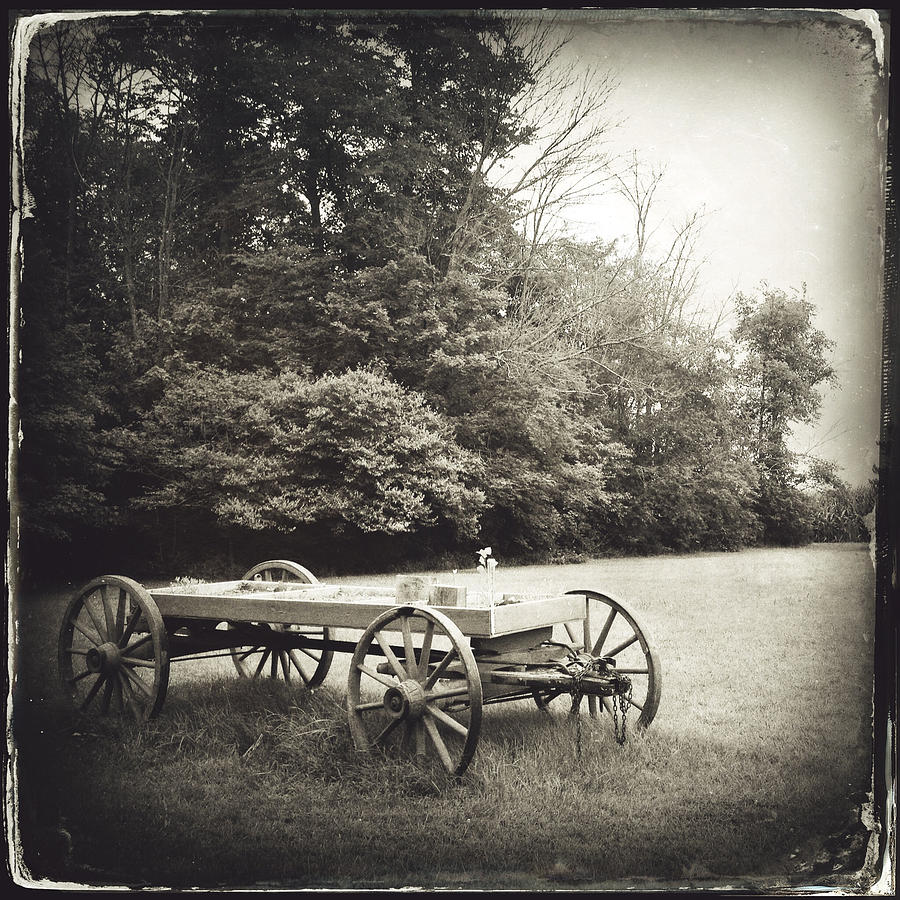 Uncle Roberts Wagon Photograph by Natasha Marco