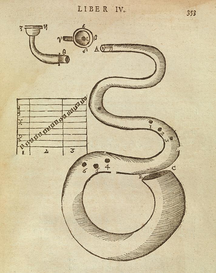 Uncoiled Trumpet Photograph by Middle Temple Library