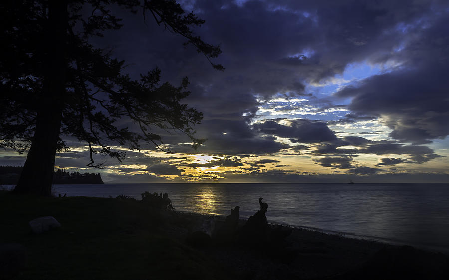 Sunset Photograph - Under A Tree by Blanca Braun Sunset Photograph - Under A Tree by Blanca Braun