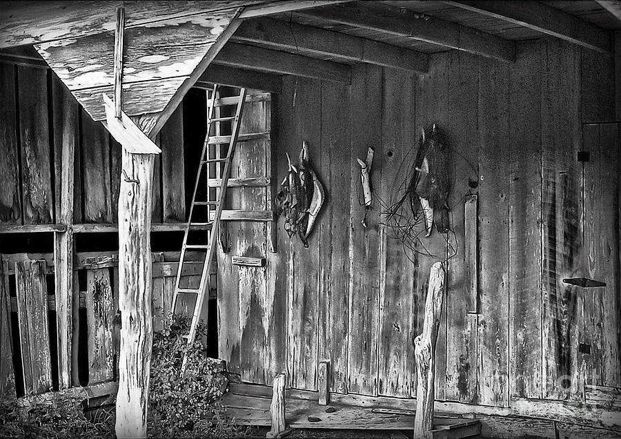 Under Barn Eaves Photograph by Walt Foegelle