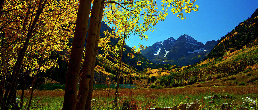 Under Golden Trees Photograph by Jeremy Rhoades