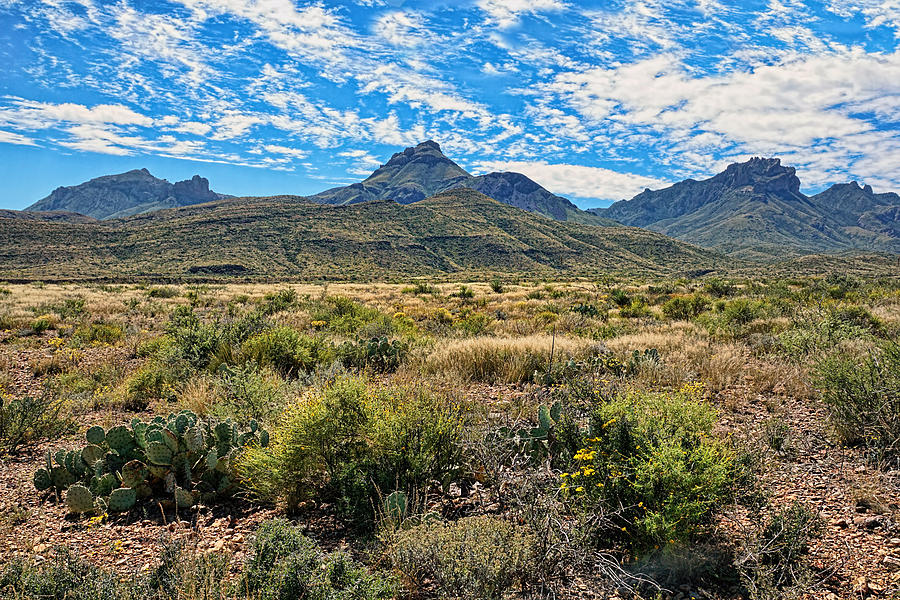 Big Bend National Park Photograph - Under Texas Skies by Lanis Rossi