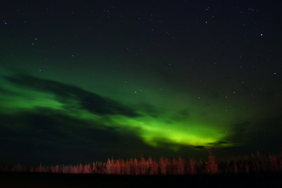 Under the Alaskan Sky Photograph by Jon Emery