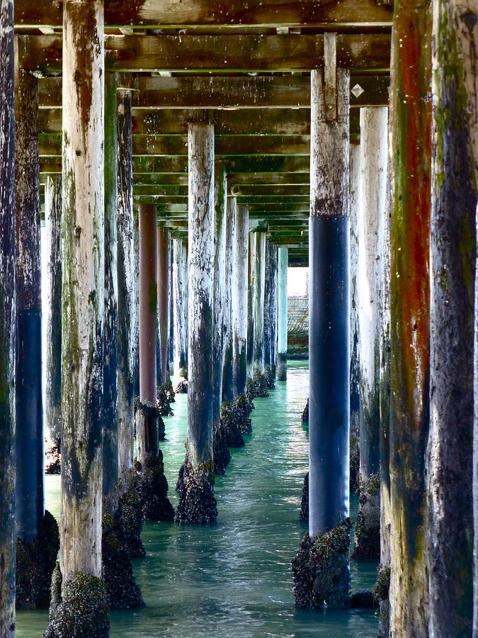 Under The Boardwalk Photograph by Amelia Racca