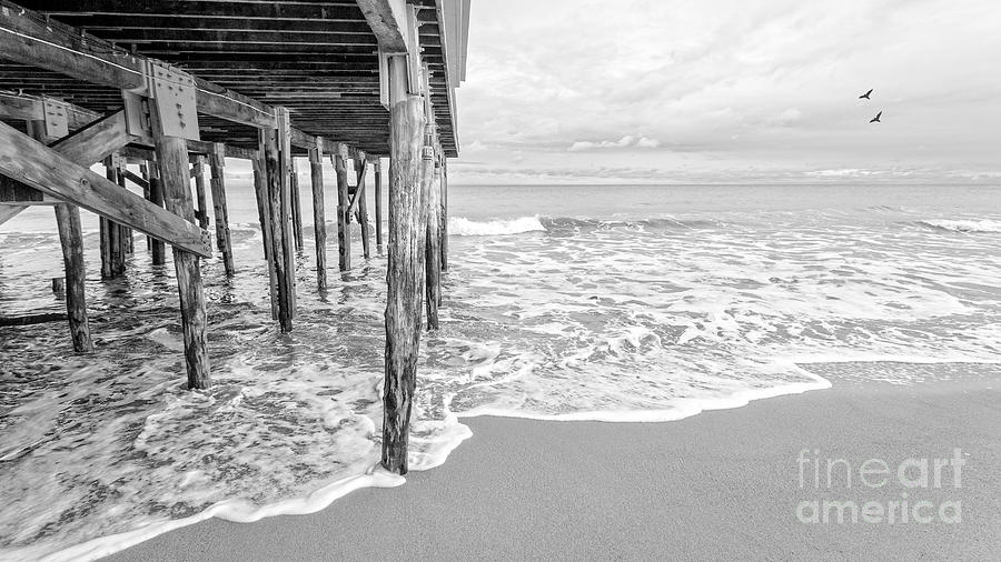 Under The Boardwalk Black And White Photograph