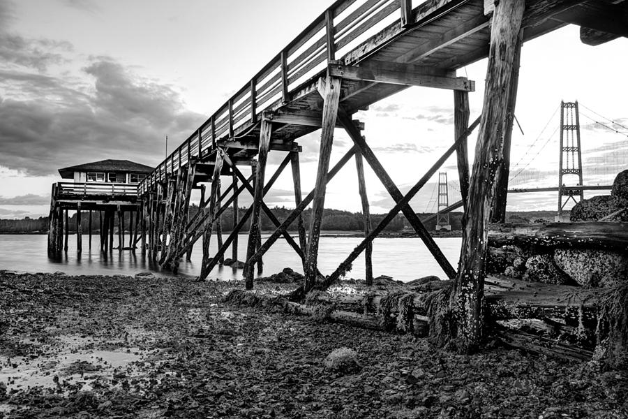 Bridge Photograph - Under The Boardwalk by Don Powers