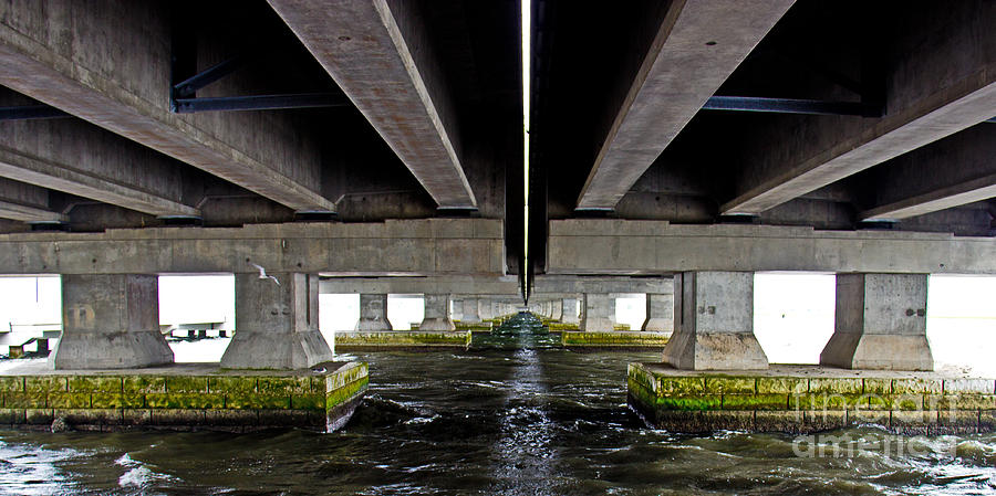 Summer Photograph - Under The Bridge by Tom Gari Gallery-Three-Photography