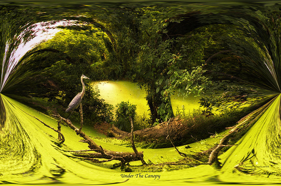 Surrealism Photograph - Under The Canopy by Thomas Woolworth