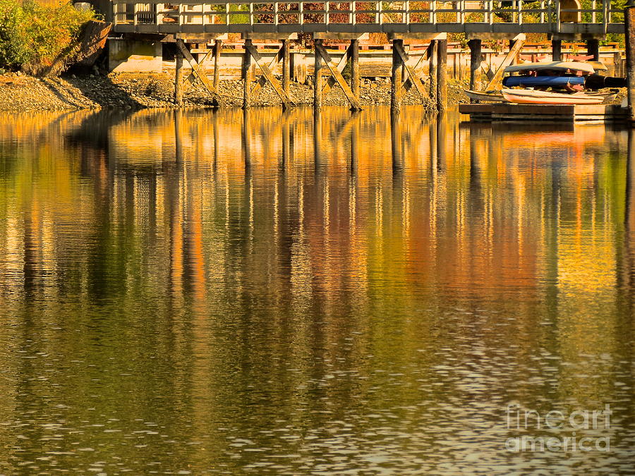 Nature Photograph - Under the dock by LeLa Becker