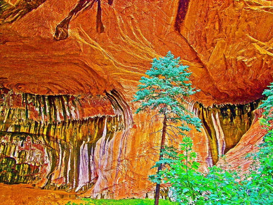 Under the Double Arch Alcove near Taylor Creek Trail in Kolob Canyons in Zion National Park-Utah Photograph by Ruth Hager