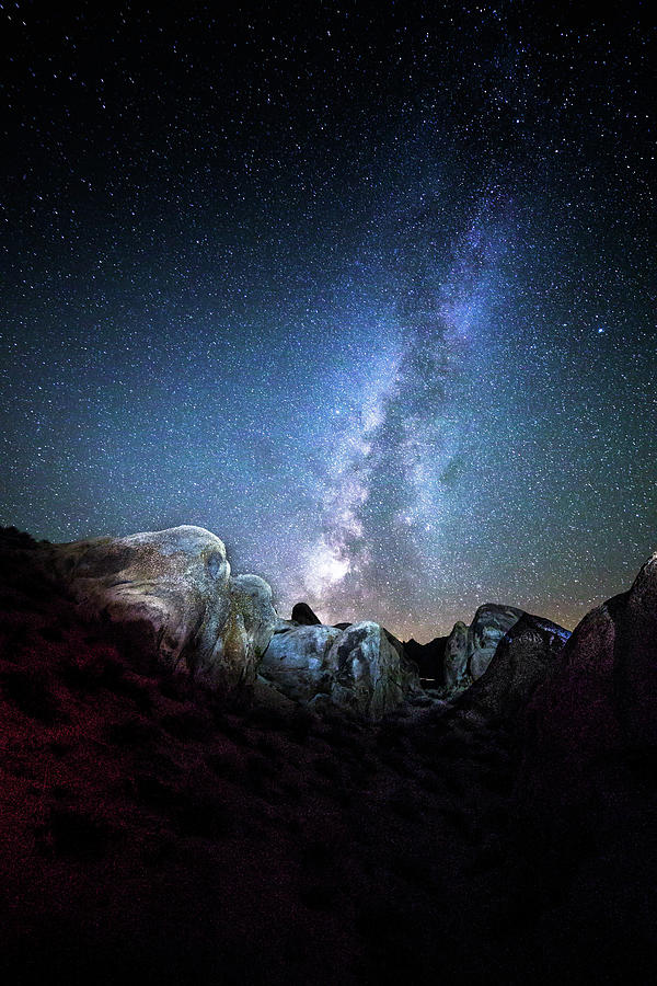Under The Milky Way Photograph by Anh Nguyen