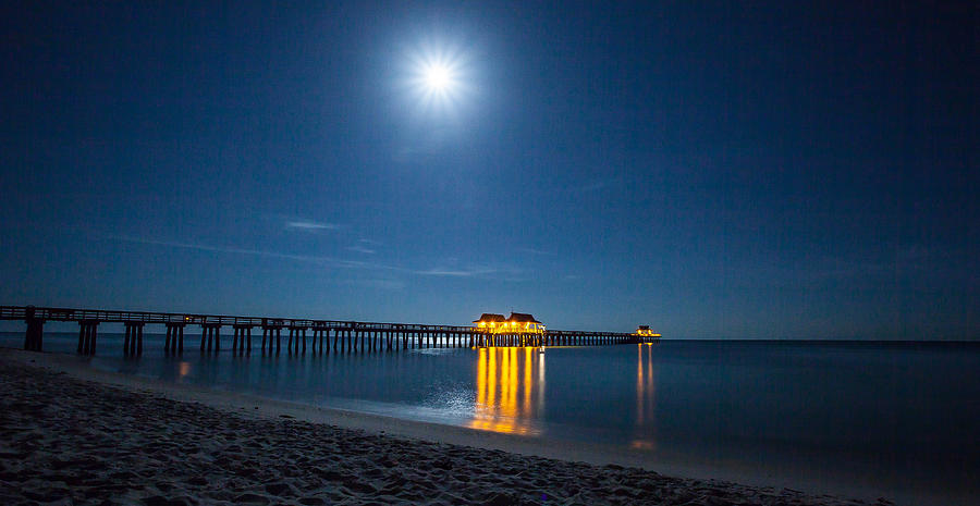 Under the Moon Light Photograph by Sean Allen