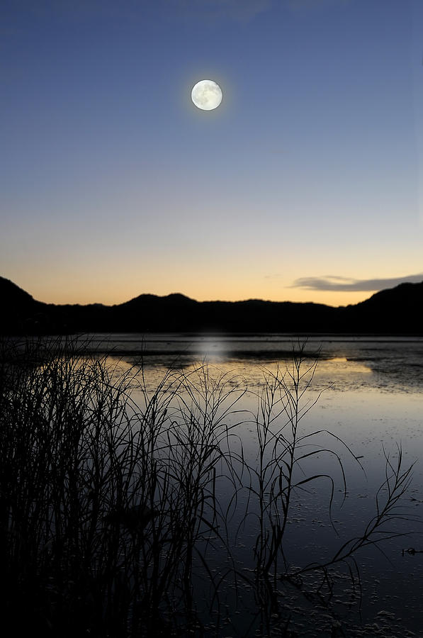 Natural parc of El Grao in Minorca island - Under the moonlight Photograph by Pedro Cardona Llambias