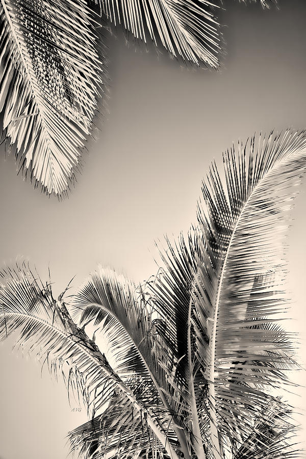 Under The Palms Silver Tone Photograph by Allan Van Gasbeck