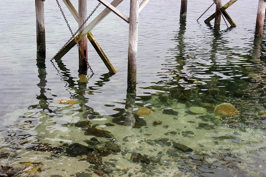 Under the Pier Bar Harbor Photograph by Mary Bedy