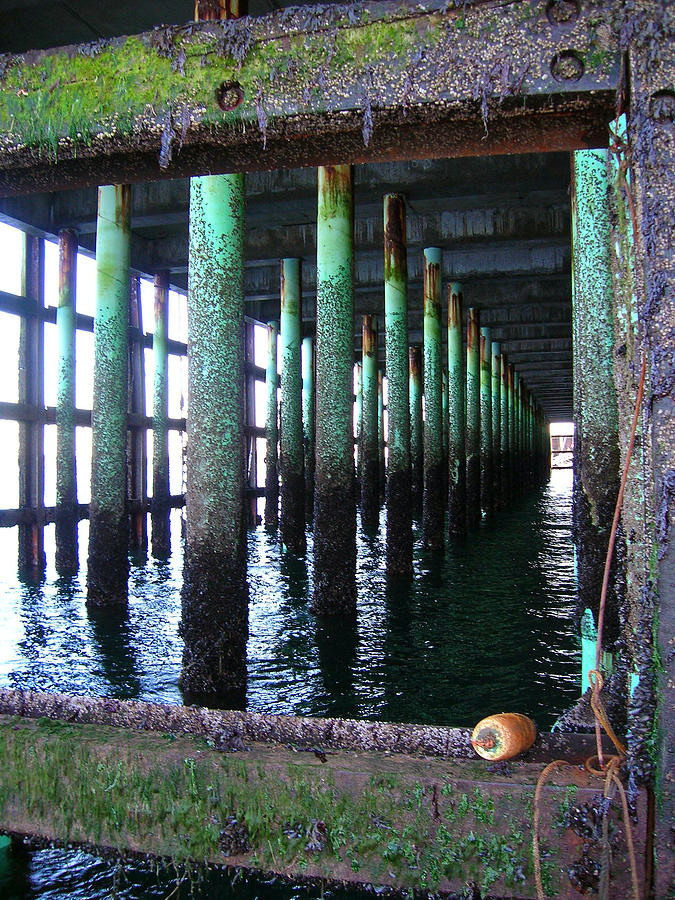 Under the Pier Photograph by Glory Ann Penington