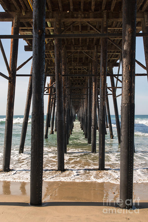 Under The Pier in Oceanside Photograph by Ana V Ramirez