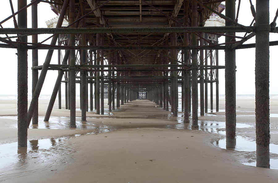 Under the Pier Photograph by Laura Tucker